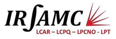logo_Irsamc_small.jpg